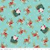 The North Pole
