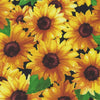 Sunshine Whispers